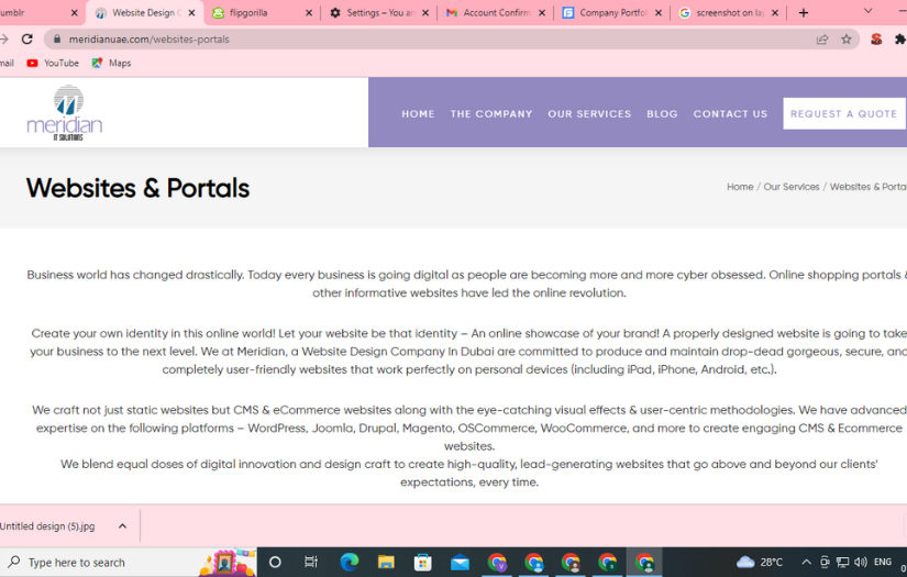 Website Development screenshot 1