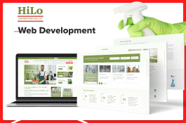 Website development for cleaning company