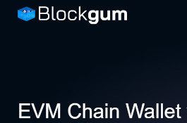 Multichain EVM Wallet