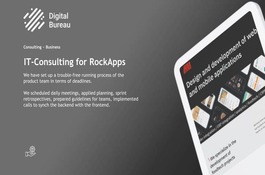 IT-Consulting for RockApps