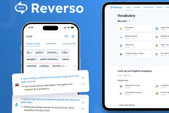 Optimizing Reverso Performance