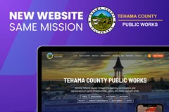 Public Works Website Development