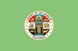 LA County Foster Care: Time2Connect Web Application