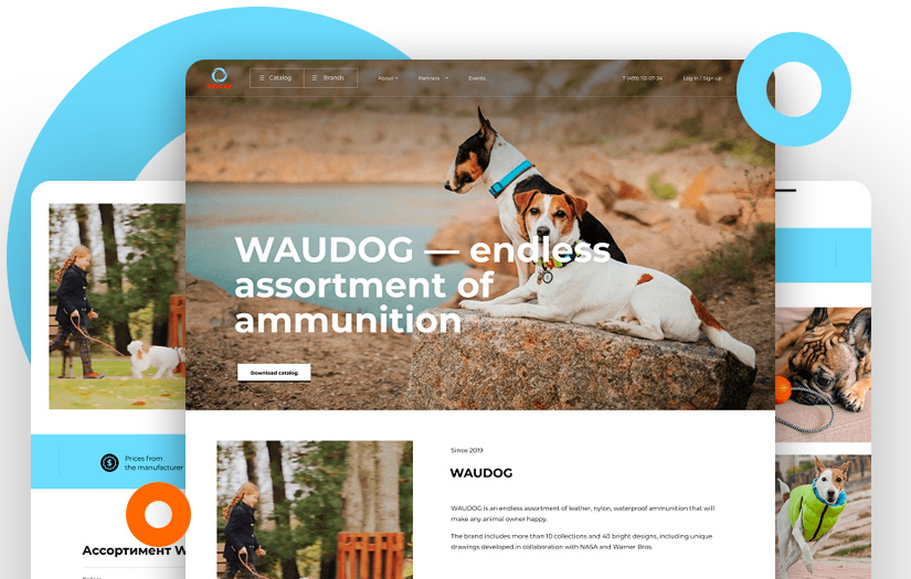 Creation of a WordPress-based website made as a constructor for COLLAR screenshot 2