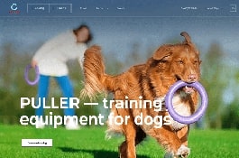 Creation of a WordPress-based website made as a constructor for COLLAR