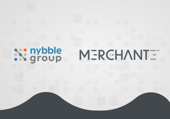 Fintech Revolution: Nybble's Impact on MerchantE screenshot 1