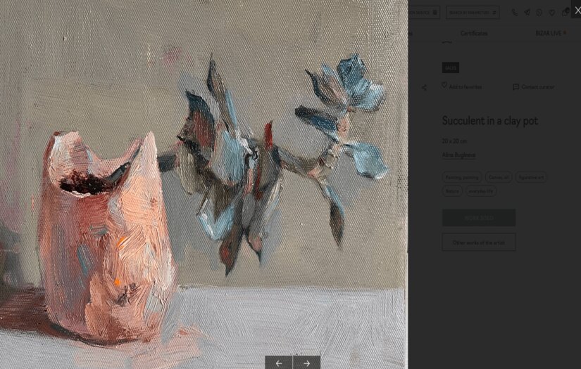 Bizar | The Art of Product Development Approach screenshot 1