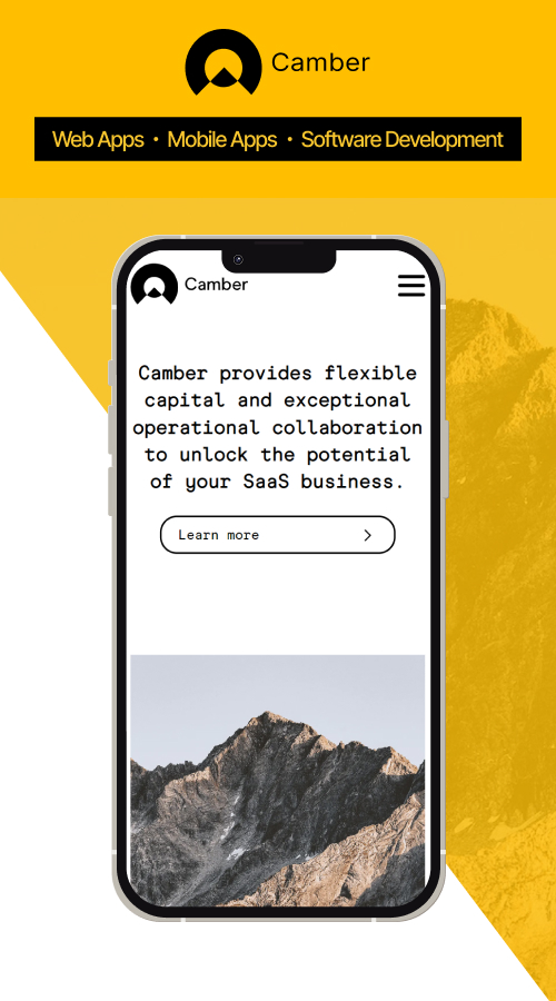 Camber Internal Tool screenshot 2