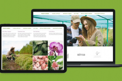 Legacy system modernization and workflow automation