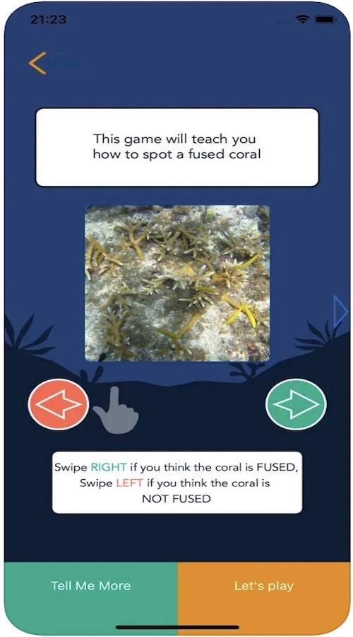 OKCoral screenshot 1