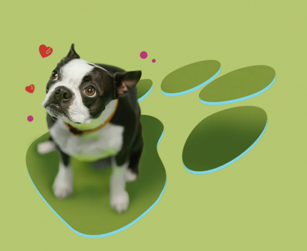 Heart Health Made Easy screenshot 2