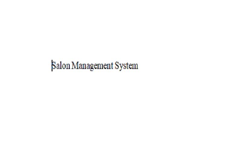 Salon Management Software screenshot 1