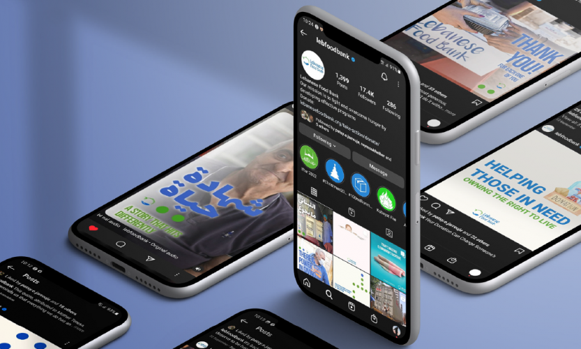 Lebanese Food Bank - Marketing Strategy screenshot 3