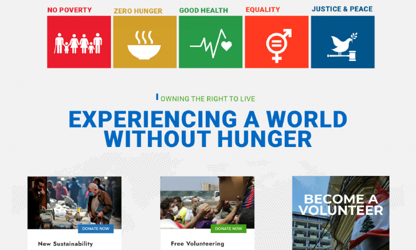 Lebanese Food Bank - Marketing Strategy screenshot 4