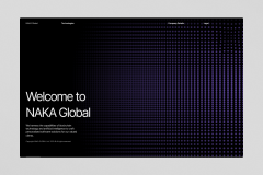 NAKA Global | Web Design and Development