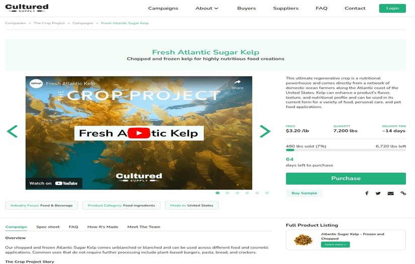 Development of custom crowd-funding platform screenshot 1