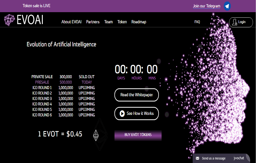 ICO Website screenshot 1