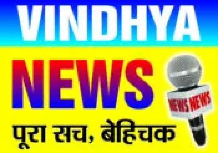 Vindhy News Website screenshot 1