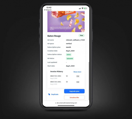 Optimizing ad distribution with a custom-built platform for a leading marketing company screenshot 1