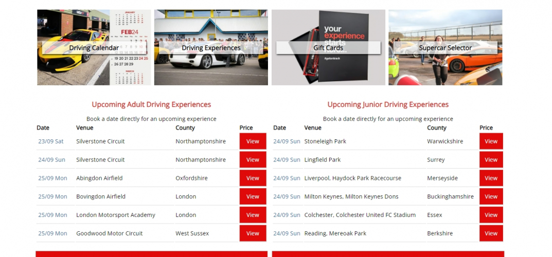 drivingexperience.com screenshot 1