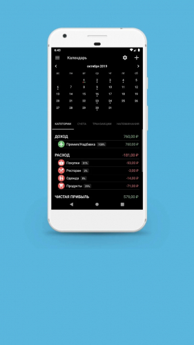 Bluecoins — financial application screenshot 1