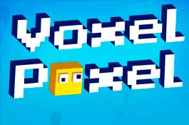 Voxel Poxel