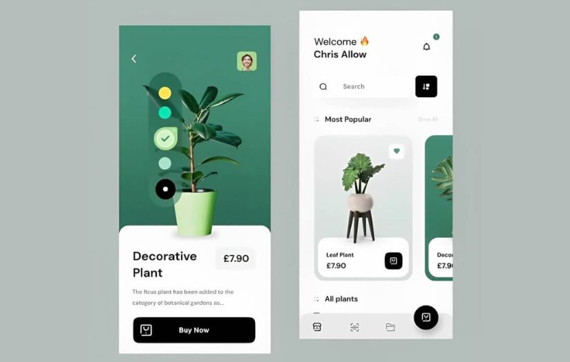 Mobile Application Development screenshot 1