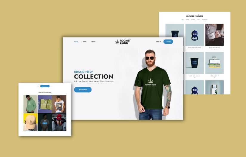 Website Design/Development screenshot 2