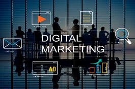 Sntechsol web developement Company In Lahore