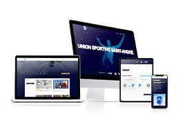 From Regional to Phenomenal Website Sensation