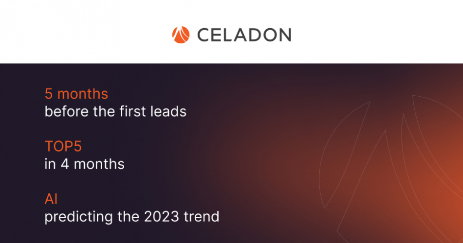 SEO for International Software Development Company screenshot 2