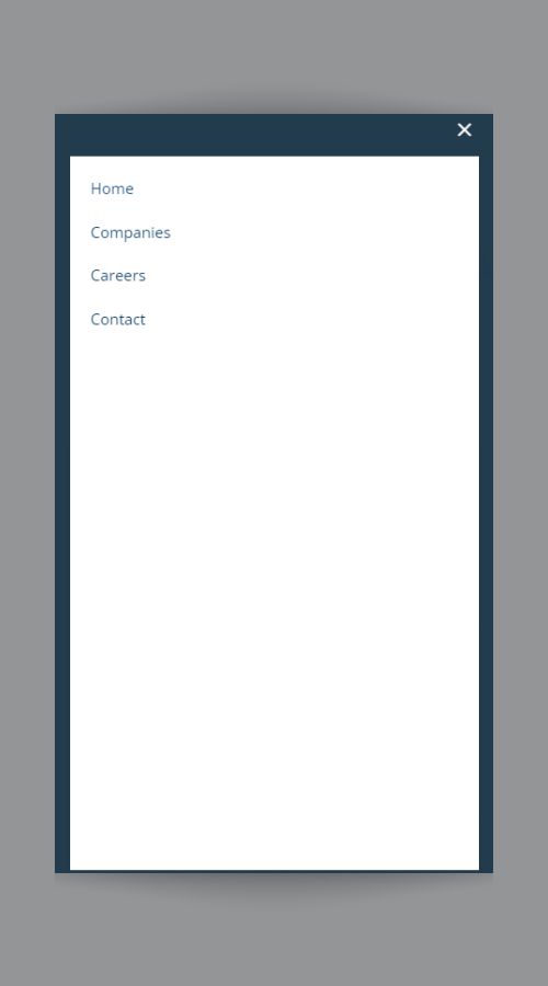 Website Design and Development screenshot 3
