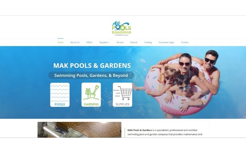Website Design & Development and Complete Social Media Management with Accounting and Back Office Services screenshot 2