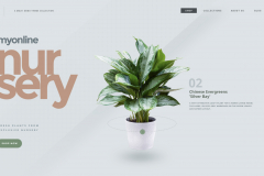 My Online Nursery