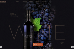 The Classic Wine