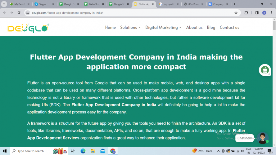 Flutter App Development Company in India screenshot 1