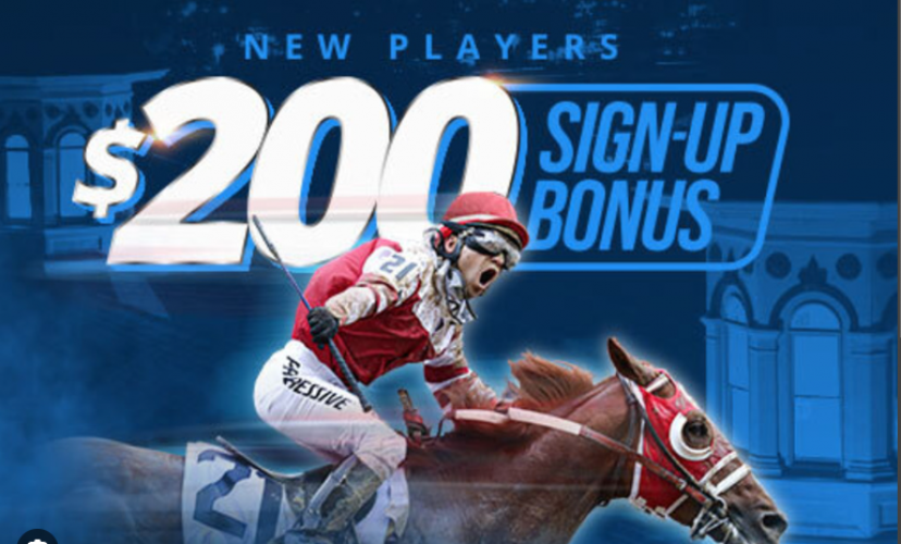 Increasing Horse Race Betting Results YoY screenshot 2