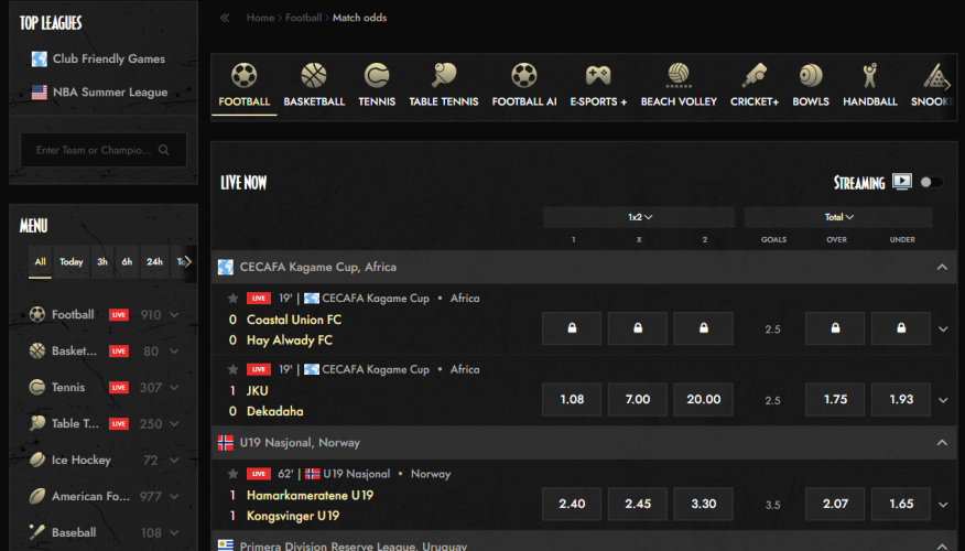 SEO services for Romanian online casino screenshot 1