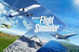 Microsoft flight simulator