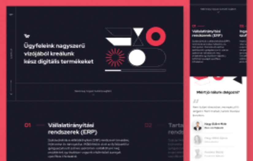 Brand image and website for a software company screenshot 1