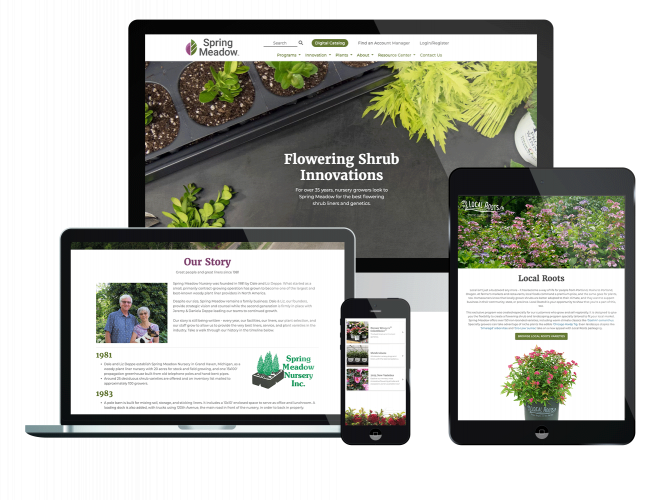 Spring Meadow Website screenshot 1