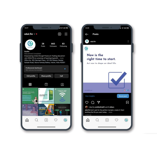 Edulfin screenshot 1