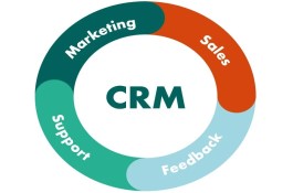 CRM System Development