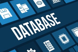 Databases Synchronization