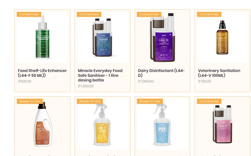 Website Design screenshot 1