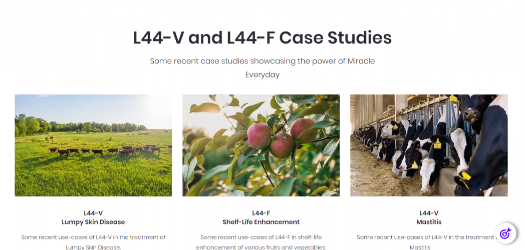 Website Design screenshot 2