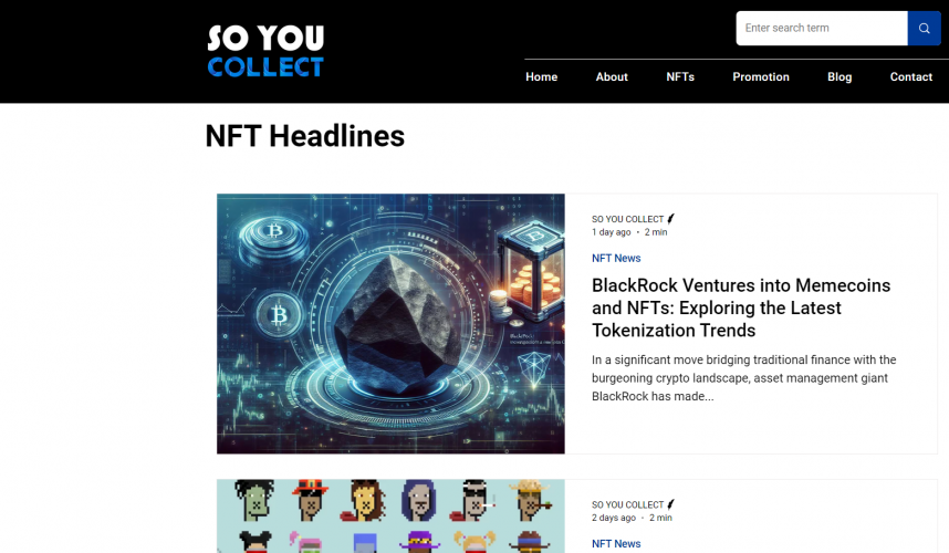 Website Design screenshot 2