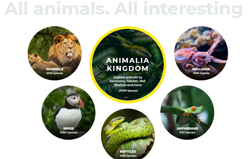 Animalia screenshot 2