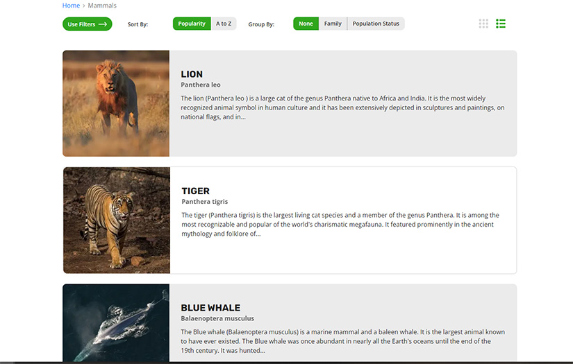 Animalia screenshot 1