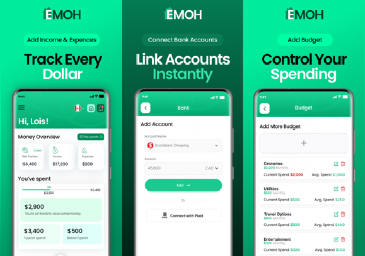 Smart Budgeting & Net-Worth Platform screenshot 1